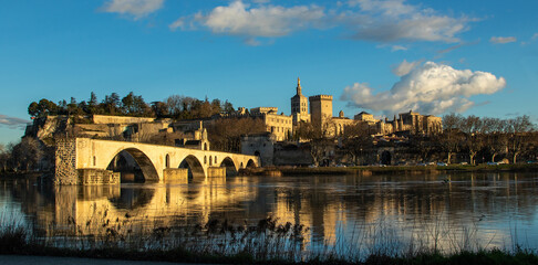 Bords du Rhône à Avignon.