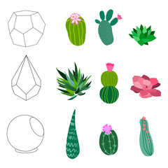 Set of geometric florariums. Geometric terrariums set with plants, succulents and cactus. Scandinavian style home decor. Glass crystal florariums isolated on white background.