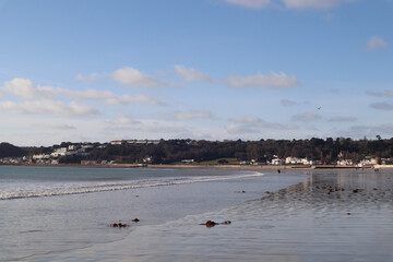 birds on the beach