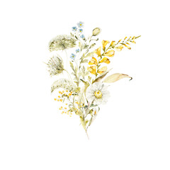 Watercolor floral bouquet. Hand painted set of forest greenery, wildflowers, herbs. Green leaves, chamomile isolated on white background. Botanical illustration for design, print or background