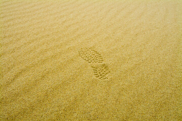 Le dune di Nida, Lituania
