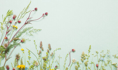 different  wild flowers on paper background