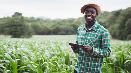 African Farmer stand in the green farm with holding tablet.16:9 style