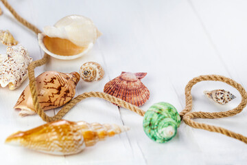 Summer vacation concept. Sea shells with rope on white wooden background, copy space.en background, copy space