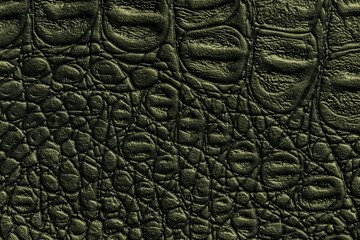 Fototapeta na wymiar Dark green leather texture background, closeup. Reptile olive skin, macro.