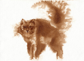 Cats artwork portrait. Coffee hand drawn on watercolor paper