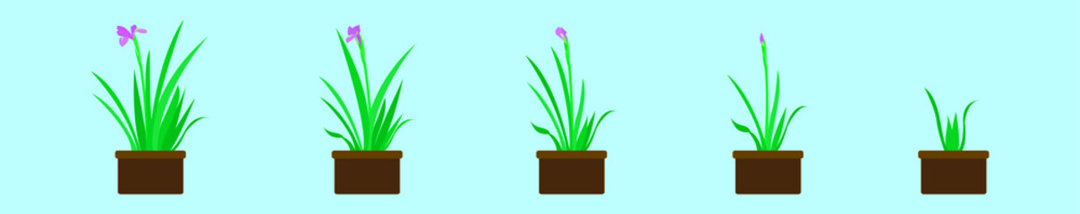 set of iris flower cartoon icon design template with various models. vector illustration isolated on blue background