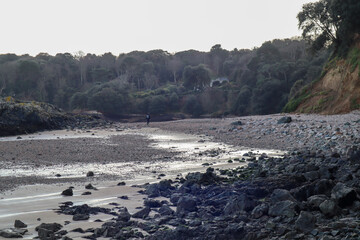 snow covered mountains