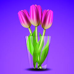 tulips in a vase