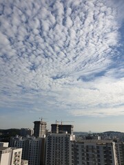 A cumulocirrus(권적운) in a daily sky