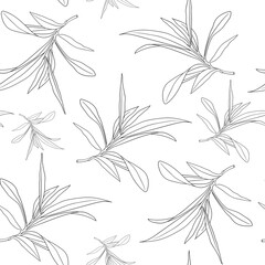 Rosemary seamless pattern on white. Rosemary sketch. Black and white pattern of rosemary 
