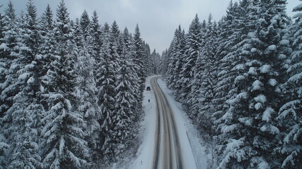 Obraz premium country road in winter season with fresh snow