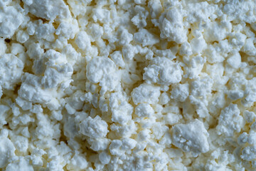 Cottage cheese of background. White grainy texture of dairy product