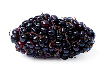 organic Mulberry fruits with green leaves isolated