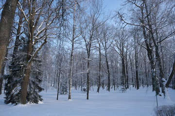 Russia, Peterhof, Lower Park, snowy winter