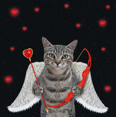 A gray cat angel holds a bow and an arrow. Black ruby hearts background.