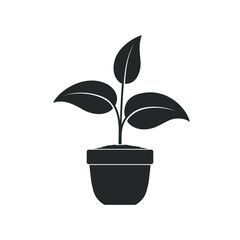 Potted plant graphic icon. House plant in the pot sign isolated on white background. Vector illustration