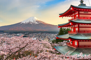 Fototapeta premium Fujiyoshida, Japan at Chureito Pagoda and Mt. Fuji in the Spring