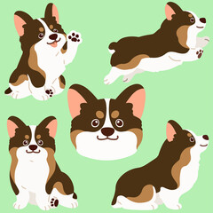 Flat colored sable colored Corgi illustrations set