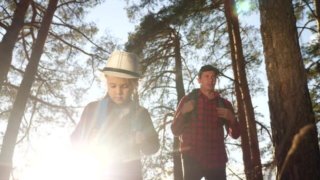 happy family with backpacks go on a trip through the park. travel kid dream adventure concept. dad and kid daughter go hiking tourist in the park with pine trees. happy family dream about adventure