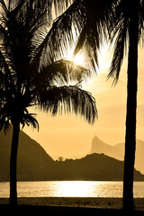 Sunset Between Palm Trees in Niteroi City, Brazil