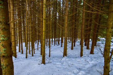 Obraz premium beautiful mountain landscape in winter in the Carpathian mountains of Romania