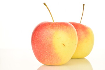 Two ripe organic, juicy, fragrant apples, close-up, on a white background.