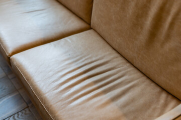 Fototapeta na wymiar Dark leather sofa with plant