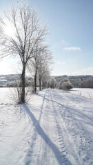 Fototapeta premium Cold frosty winter landscapes with trees and frozen branches during winter near Fulda, Germany.