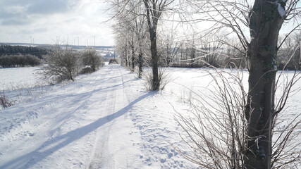 Cold frosty winter landscapes with trees and frozen branches during winter near Fulda, Germany.