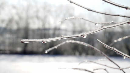 Cold frosty winter landscapes with trees and frozen branches during winter near Fulda, Germany.