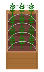 Vegetable garden flat vector illustration. Plants in the garden bed. Seedlings plant with green large leaves. Growing plants for a healthy diet cabbage, salad, spinach. Urban agriculture concept