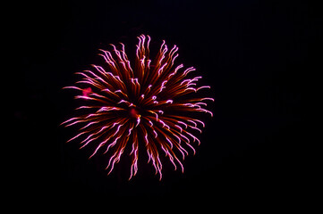 red round exploding firework in black sky with copy space