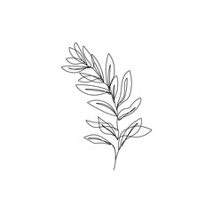 Obraz premium Vector Leaves of Hand Drawn Line Art Drawing. Minimalist Trendy Contemporary Design Perfect for Wall Art, Prints, Social Media, Posters, Invitations, Branding Design.