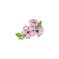 Sakura cherry branch with pink flowers. Vector illustration for festive design. 