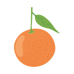 orange fruit icon, flat style