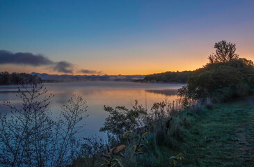 At early dawn sunrise over trees in background and misty foggy river ferns in foreground nobody