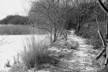 Verschneiter Weg am See im Naturschutzgebiet