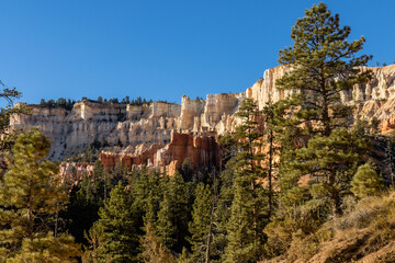 Canyon walls and pine trees under a blue sky in Bryce Canyon National Park, Utah