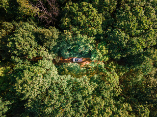 aerial view woman laying down on suv car roof in the middle of the forest trail road