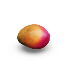 Mango  isolated on white background
