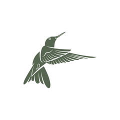 Hummingbird design vector illustration, Creative Hummingbird logo template, icon symbol