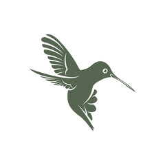 Hummingbird design vector illustration, Creative Hummingbird logo template, icon symbol
