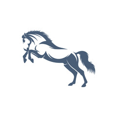 Horse design vector illustration, Creative horse logo template, icon symbol