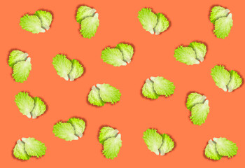 Grocery background of green lettuce leaves with a shadow on an orange background.