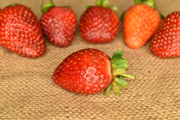 Several berries of bright red ripe organic delicious strawberries on jute fabric.
