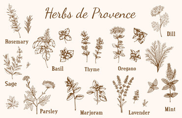 Provencal spices and herbs.