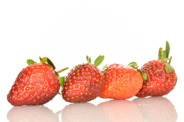 A few bright red whole ripe juicy organic strawberry berries. The background is white.