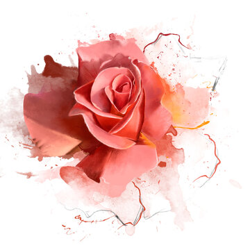 Beautiful soft rose color. Rose with paint splatter elements. Expressive artistic image of nature, ultra-wide format. Copy the space