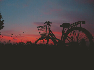 bicycle in the sunset